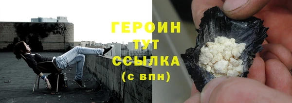 стаф Кедровый