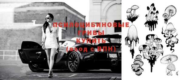 mix Кизел