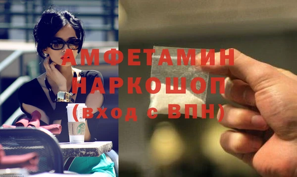 прущие грибы Балахна