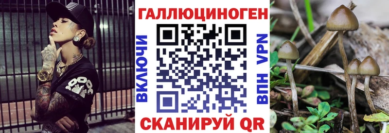 Галлюциногенные грибы Magic Shrooms  Теберда 